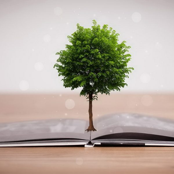 07-4-qpsu3me7ol231j9gn4saddm3j7lqx5yctyqaownii8